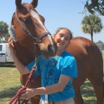 Cannwyll is the first rescue horse to benefit from the Thoroughbred Retirement Foundation's Sigler Fund.