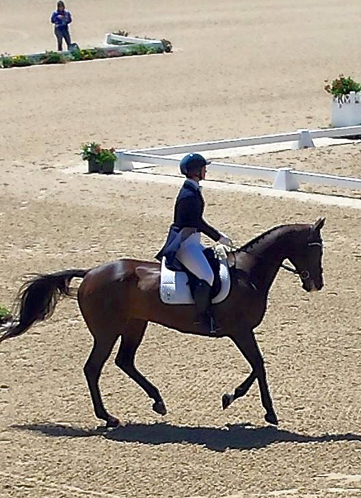 Leah Lang-Gluscic and AP Prime in the dressage ring at the Kentucky Rolex Three Day. Photo courtesy Lynn E. Kersten
