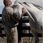 Randall Sorrell learned service to others, partnership and trust while incarcerated at Blackburn. He and Deacon, a Thoroughbred Retirement Foundation horse, participated in the Second Chances Program.