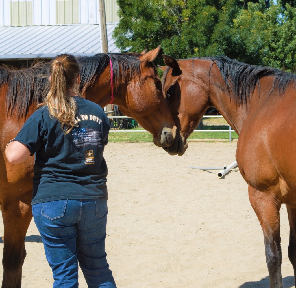 Horses and veterans participate in a new program at Healing Arenas in California.