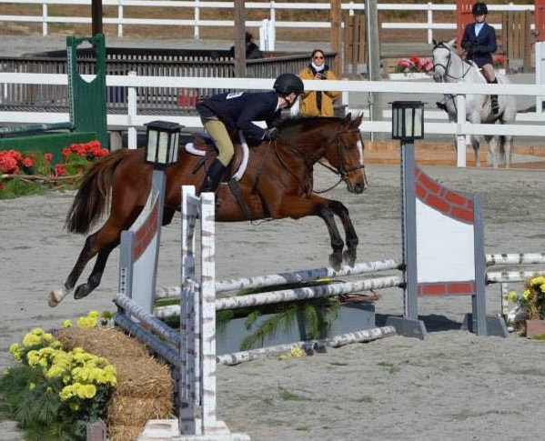 Jacob Crotts says of his OTTB Blain's Storm, "He just showed up out of nowhere... it was perfect timing."