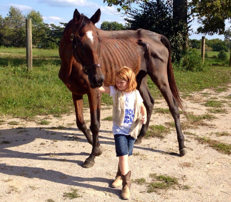 Jo Jo Gypsy was rescued by Jeanne Mirabito of Our Mims Retirement Haven. She is pictured with Jeanne's granddaughter. 