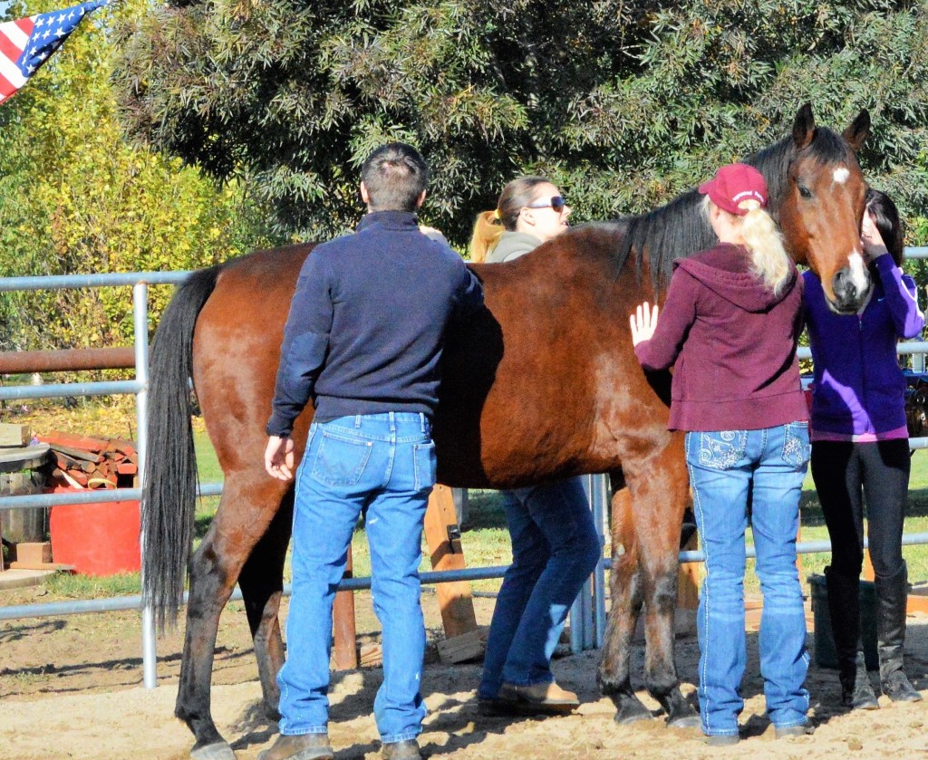In this session, Viva works with nurses and other caregivers during a program at Healing Arenas Ranch in California.