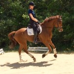 Celebrity Pam Stone trains Go Forrest Go for upper level dressage and blogs about it in Dressage Today.