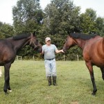 Photo of the Week: Horse husbandry