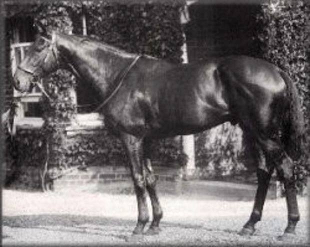 Tesio bred Nogara to Pharos, the full brother of Fairway, when he was declined a breeding to Fairway. 
