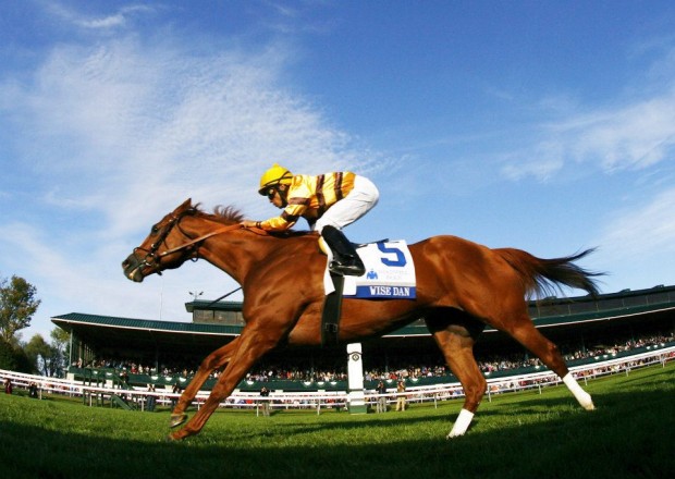 Wise Dan in action. Photo courtesy of Keeneland and the Horse Collaborative.