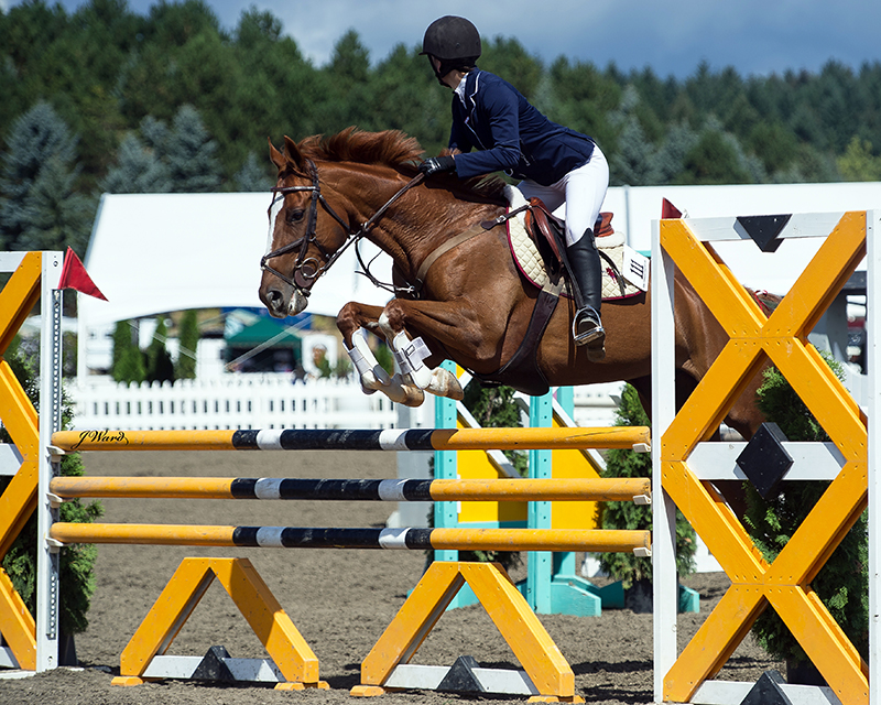 The jump off at last year's Zone 9 high children's jumper finals. Photo by Julie Ward and courtesy Jorji McEllrath
