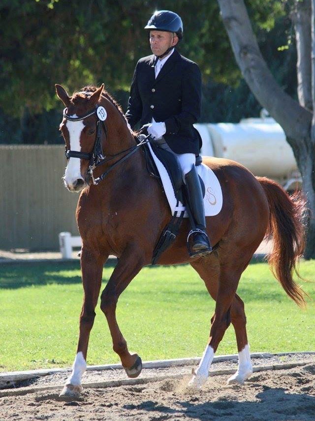 Nuno Santos trained Ken's Kitten up through 3-star Dressage before handing over the reins to California USDF silver medalist (and his brother) Carlos Santos.