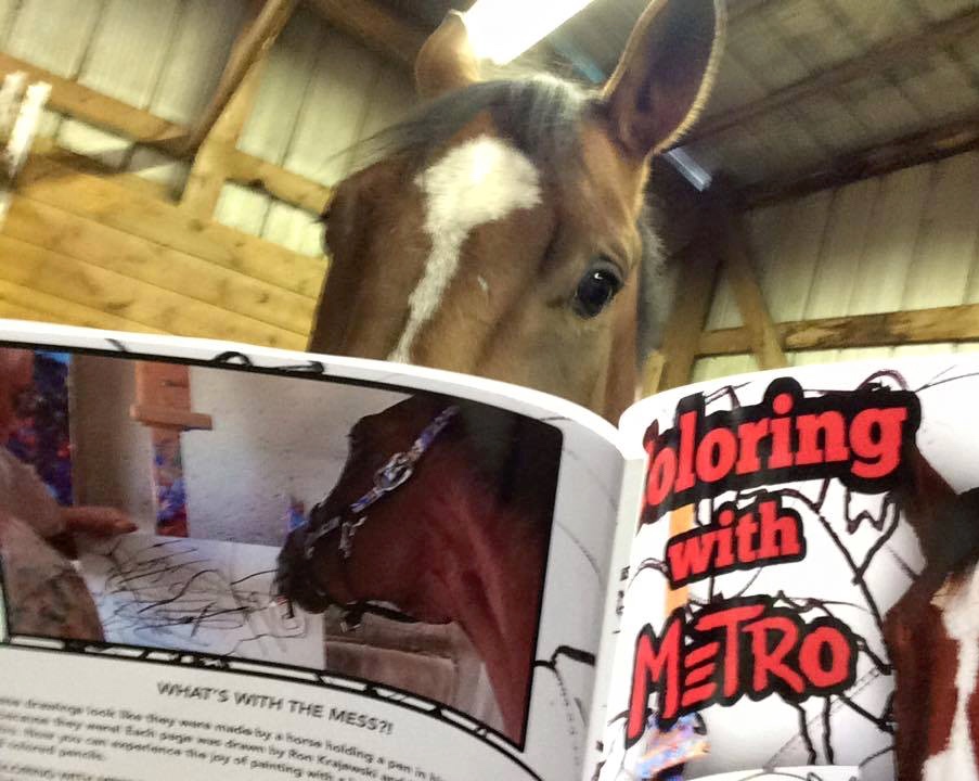 Metro Meteor, the famous Thoroughbred who paints, introduces coloring books. Photo by Ron Krajewski
