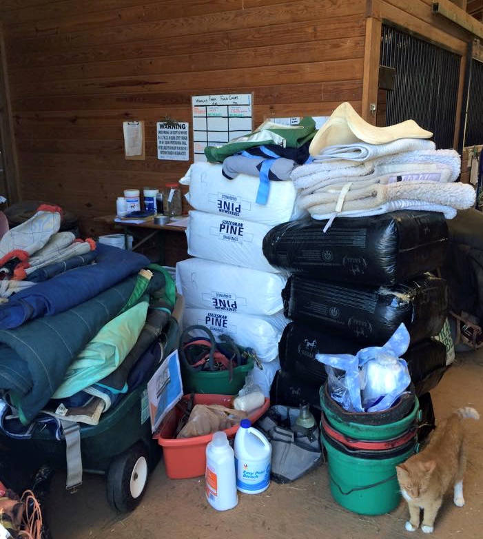 Donations keep rolling in. Here is a recent pile that accumulated at Hope's Legacy while Proulx stepped away from the farm.