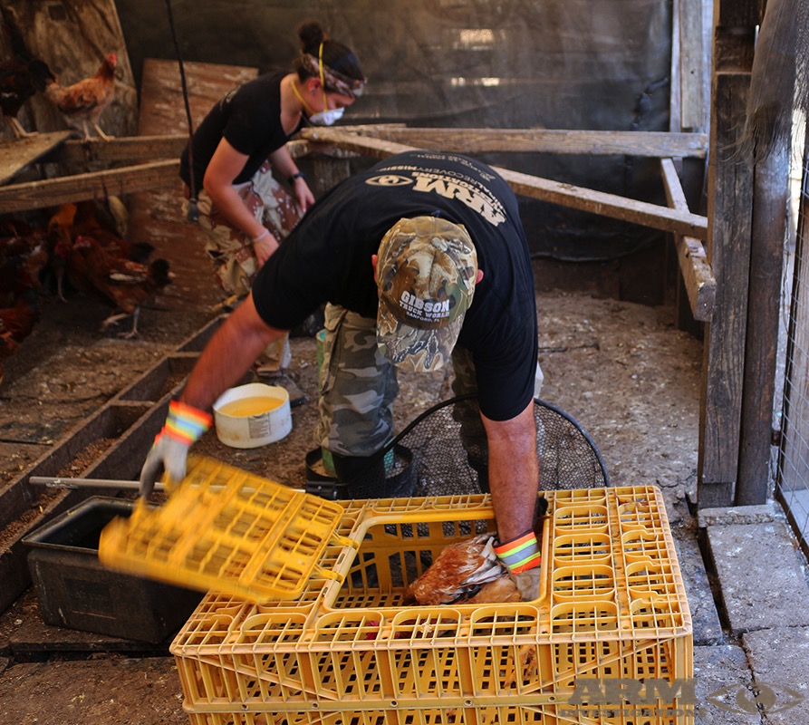 Richard Couto helps rescue livestock from squalid conditions during a raid at G.A. Paso Fino Farm last month. Couto says he is sickened that those arrested in connection with the farm were given light plea bargains a mere three weeks later.