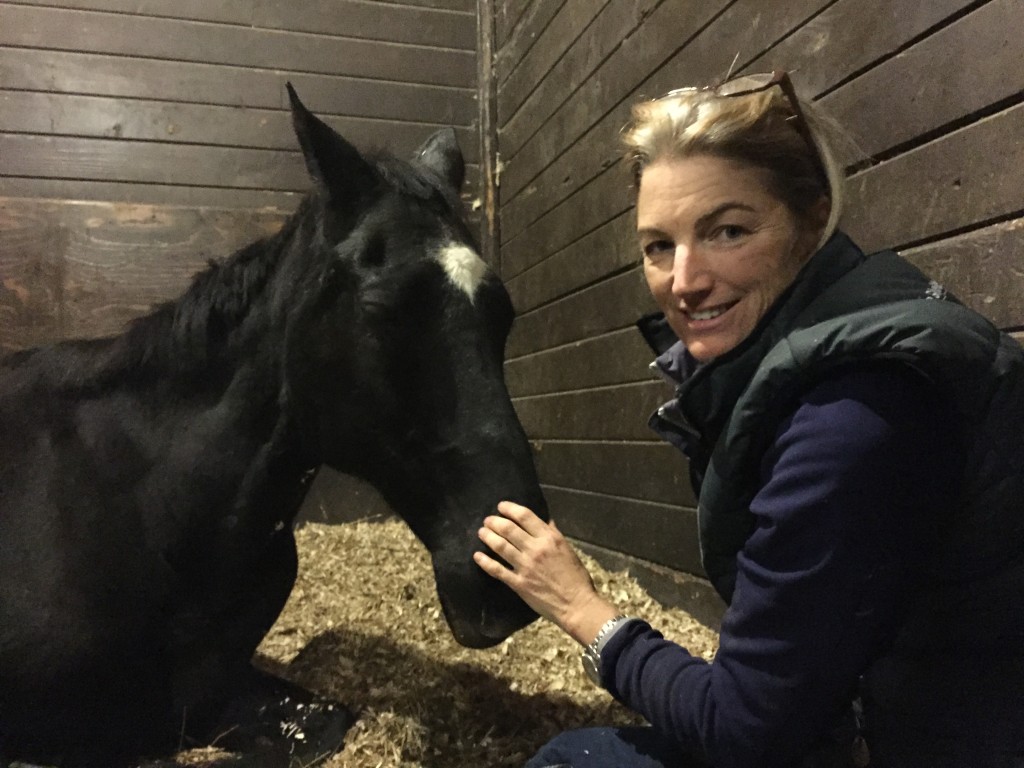 Harry started bobble and go down on Nov. 7. Sharon Kress of Our Farm Equine Rescue has worked round-the-clock to help him.