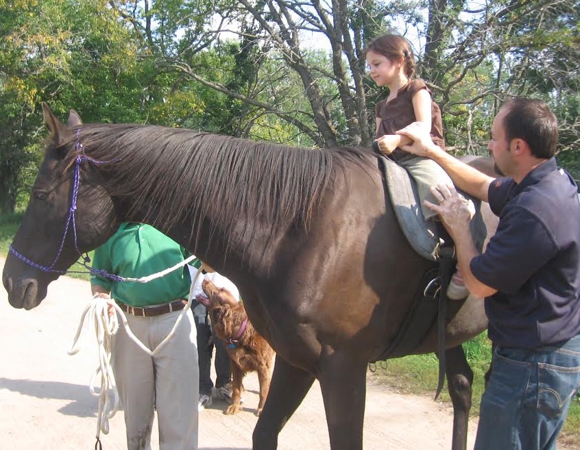 Gunner went from a frightened, biting, kicking wild man to a children's pony.