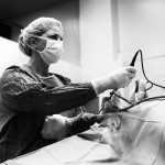 Dr. Patricia Hogan, DVM, has performed numerous lag screw fixation procedures on horses.