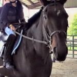 Anna Collette, who has muscular dystrophy, has found courage riding her OTTB Dewey.
