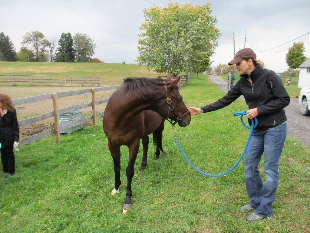 Flossie now lives at the Thoroughbred Retirement Foundation's Wallkill facility.