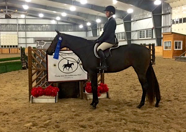 Rider Jennifer Marshall had great success with Feather. They are pictured after winning the championship of the November final TASS show / TB Show Finale.
