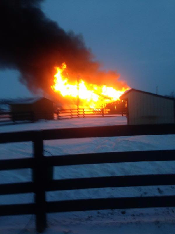 Fasig-Tipton and Blue Horse Charities have pledged $50,000 to replace the Old Friends barn destroyed by fire last weekend. Photo courtesy Old Friends