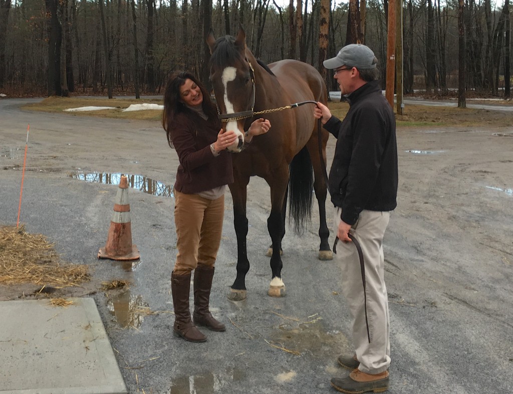 Flexnow arrives at Rood & Riddle in Saratoga, N.Y. Thursday to be reunited with his past owner, Britt Wadsworth.