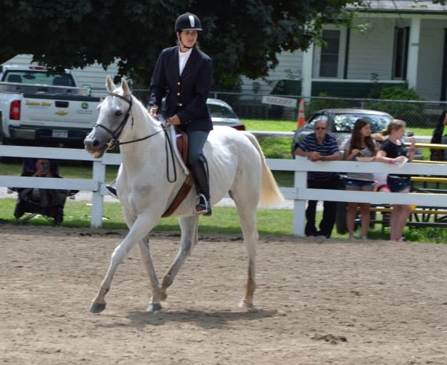 All My Robyns struts at a show ring just six weeks after she was rescued from an auction frequented by meat buyers.