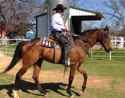Dallas Keen of Texas retrains Cease, a wonderful horse with good temperament. 