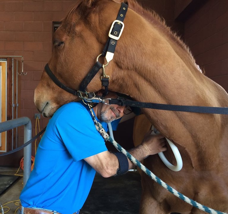 Milyone and Dr. Rubin smile as the OTTB receives a spa day.