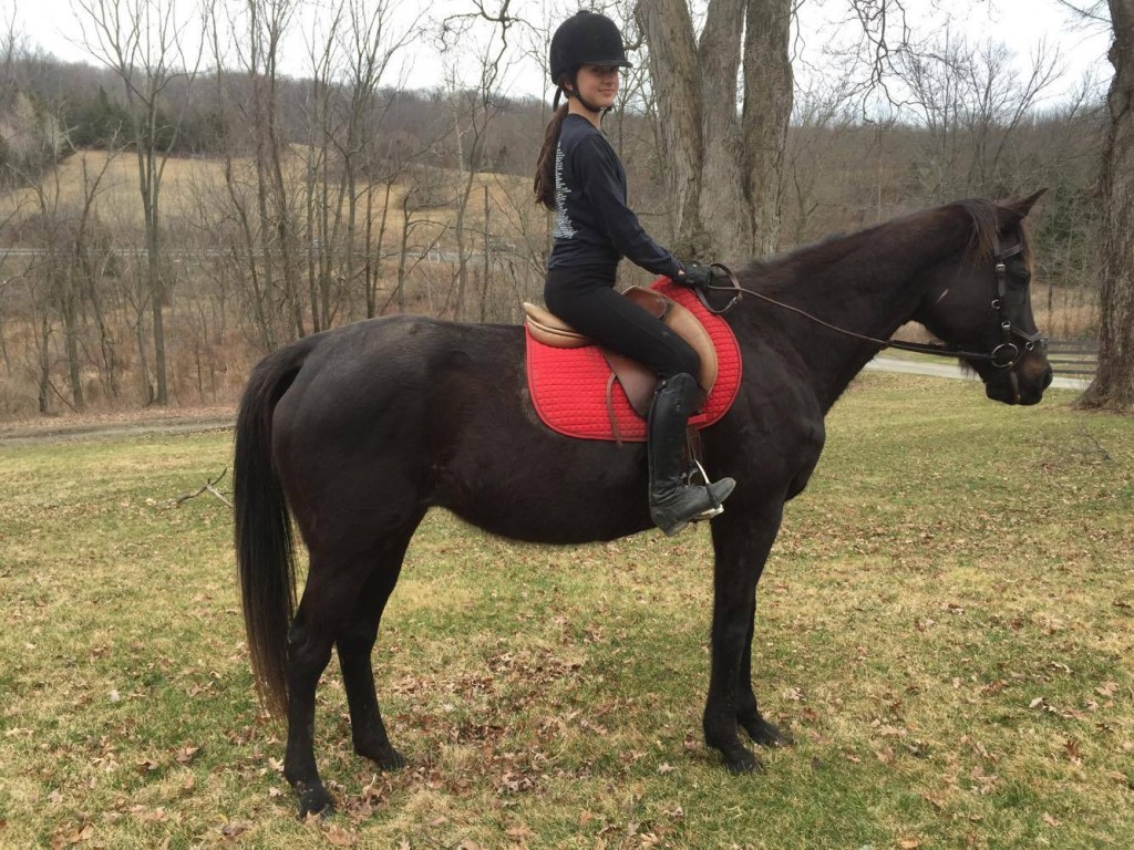 Ruby, a 20-year-old mare, was rescued two years ago from a meat buyer. Last month, the young girl who rescued her saddled her up and found the out-of-shape mare has the makings of an ideal Hunter.