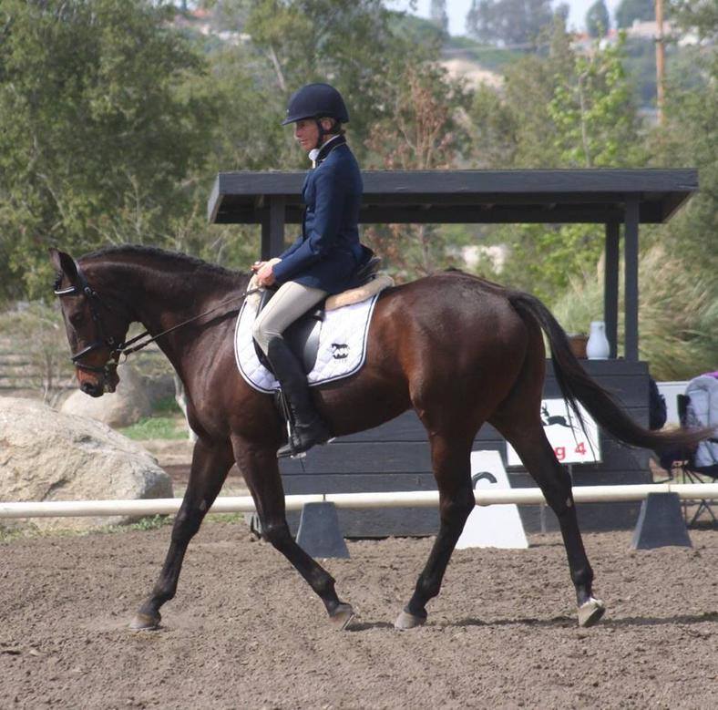 Valerie Ashker, 60, and 7-year-old OTTB Primitivo will set out to cross the United States May 8.