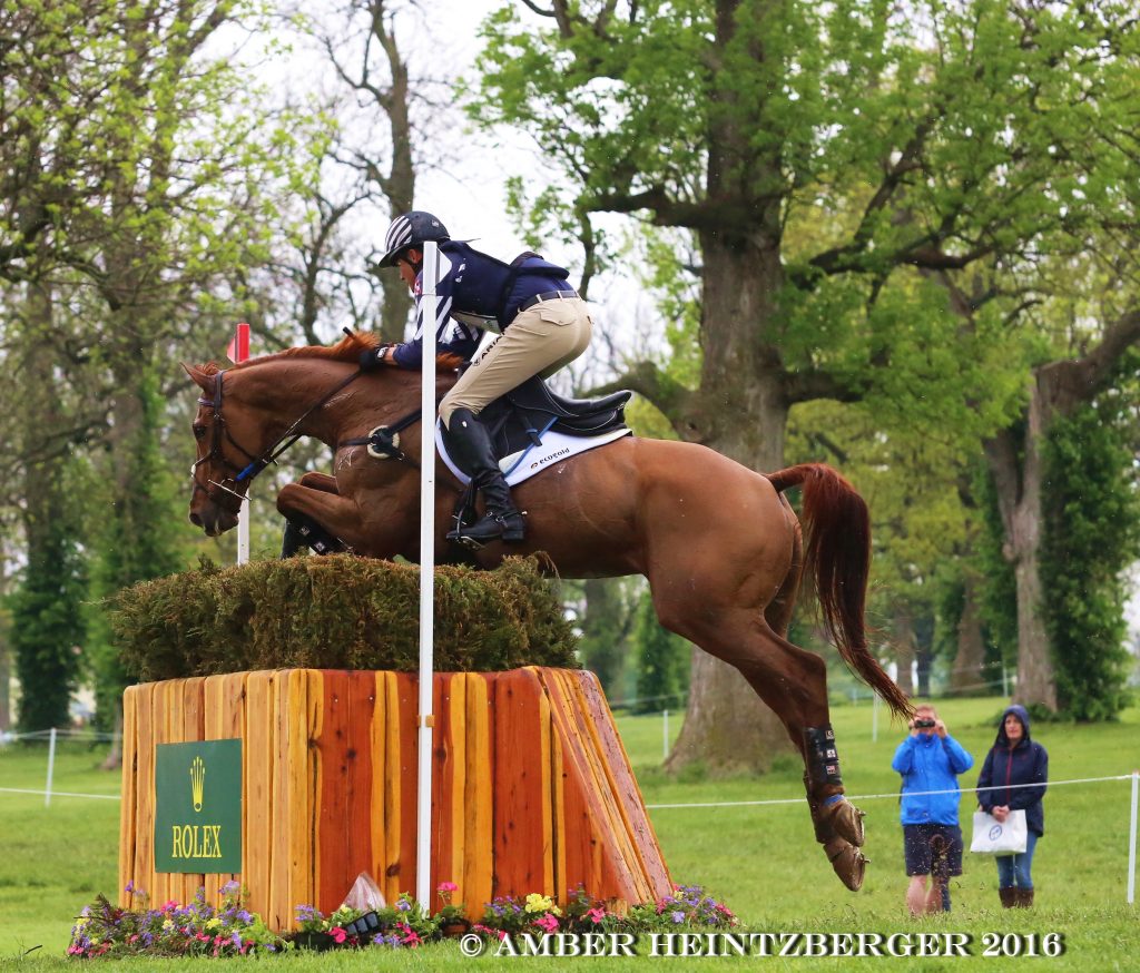 Olympic Eventer Boyd Martin competed OTTB Blackfoot Mystery at Rolex last month. Photo by Amber Heintzberger