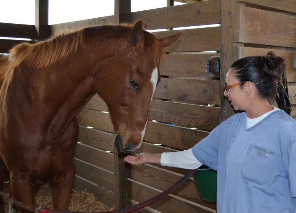 Carterista, 27, and Esposito met at the Thoroughbred Retirement Foundation's Second Chances program in Florida. The meeting changed the life for the former inmate, who now works for the Florida Horse Park.