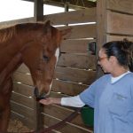 Carterista, 27, and Esposito met at the Thoroughbred Retirement Foundation's Second Chances program in Florida. The meeting changed  the life for the former inmate, who now works for the Florida Horse Park.