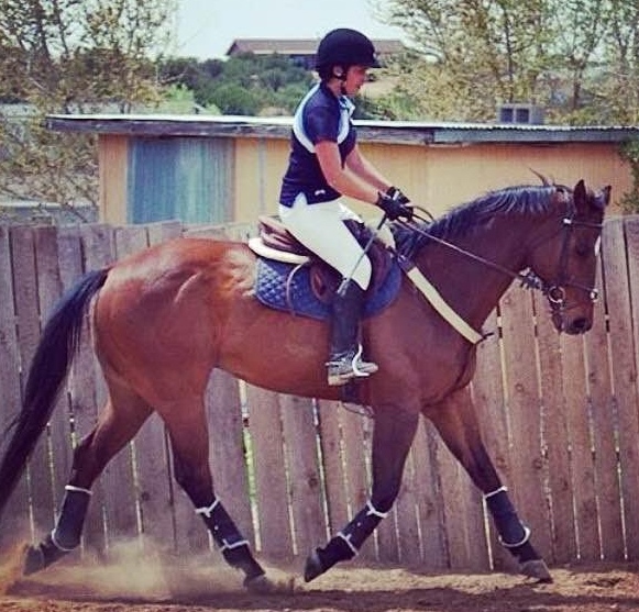 Before Fly became a full-time therapy horse, he was on a path to be an Eventer.