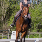 Suffolk Downs racing analyst and handicapper Jessica Paquette and her OTTB What a Trippi have fought hard to get to where they are today.