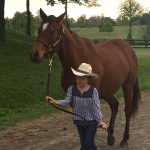 Kaylee, 8. and OTTB Jo Jo's Gypsy participated in their first show two years after the mare was found abandoned and near death in Kentucky.