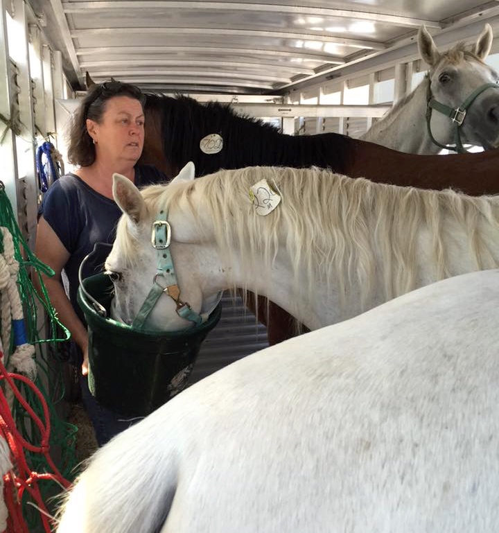 Kay Hanlon Myruski and her 12-year-old daughter Emma rode from New York to Louisiana, and back, to save 8 slaughter-bound horses.