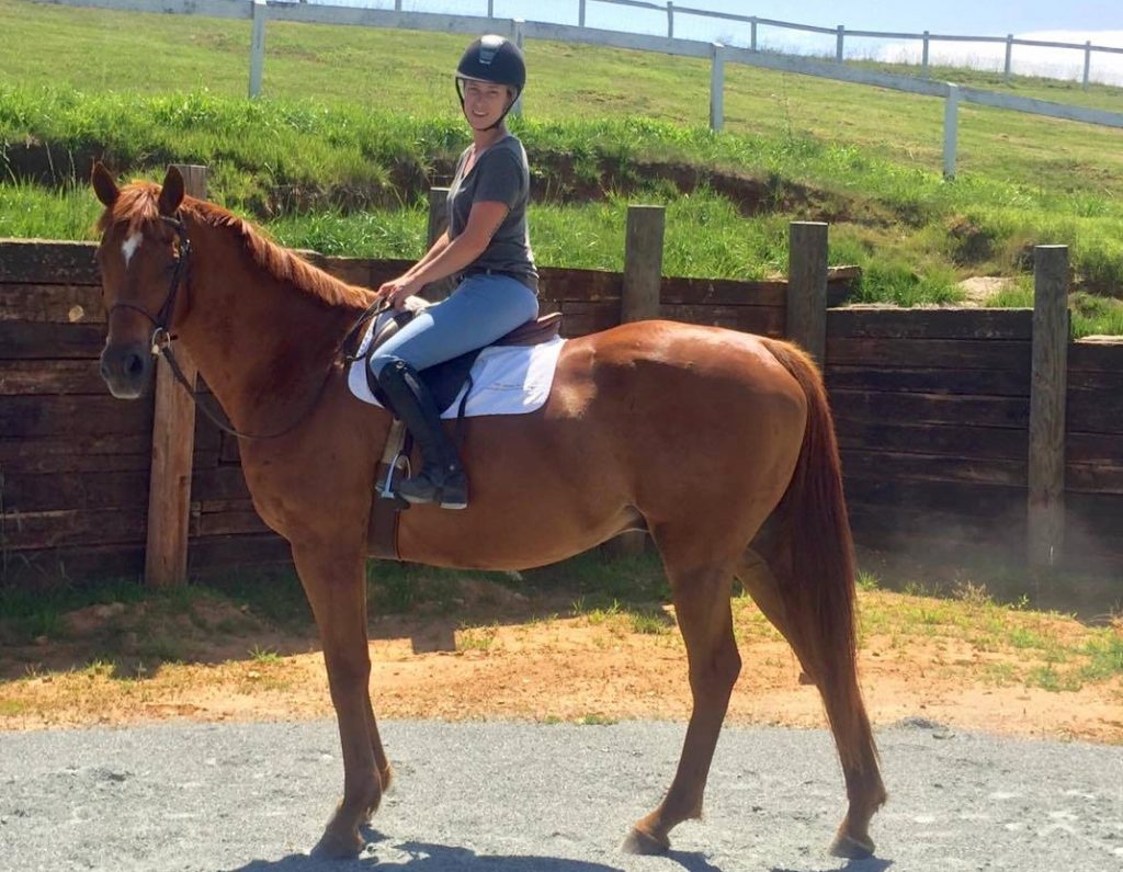 Brooks Clement has just begun sitting on Ollie, a rescued OTTB who is showing signs of talent and prior training.