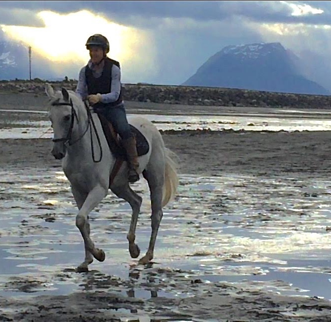 The OTTB in Alaska is a rare bird in his new land.