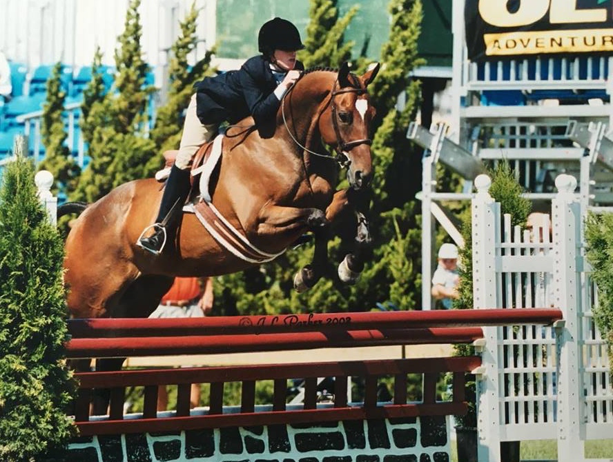 Renya Stein, marketing manager for the Hampton Classic, owned Montgomery for 10 years, showing and winning impressively in Long Island.
