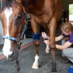 Metro receives Tildren injections from Dr. Kimberly Brokaw