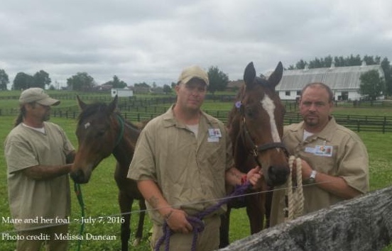 A mare and foal bond with inmates who will now see them through to hard times.