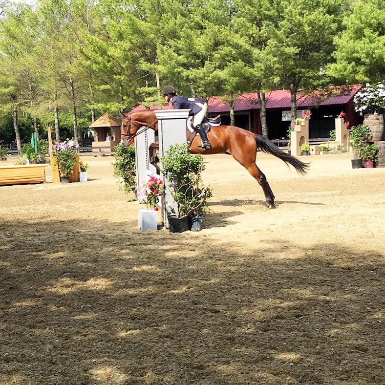 After retiring from racing, Trippi discovered he really loves jumping. Pictured with rider Hannah Lavin.