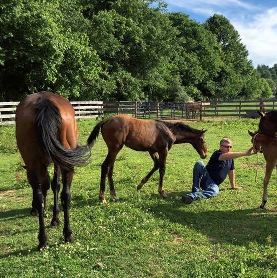 Lady Liberty, center, was born in March after her mother Mabeline (JC: Murphy's Code) was rescued from the New Holland Auction. Here she nuzzles up to a Marine Corps vet. Photo courtesy Lois Fritz
