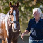 Wendy Wooley and her new OTTB Dancing Commander take a walk after a bath at the Kentucky Horse Park. Photo by Matt Wooley/EquiSport Photo