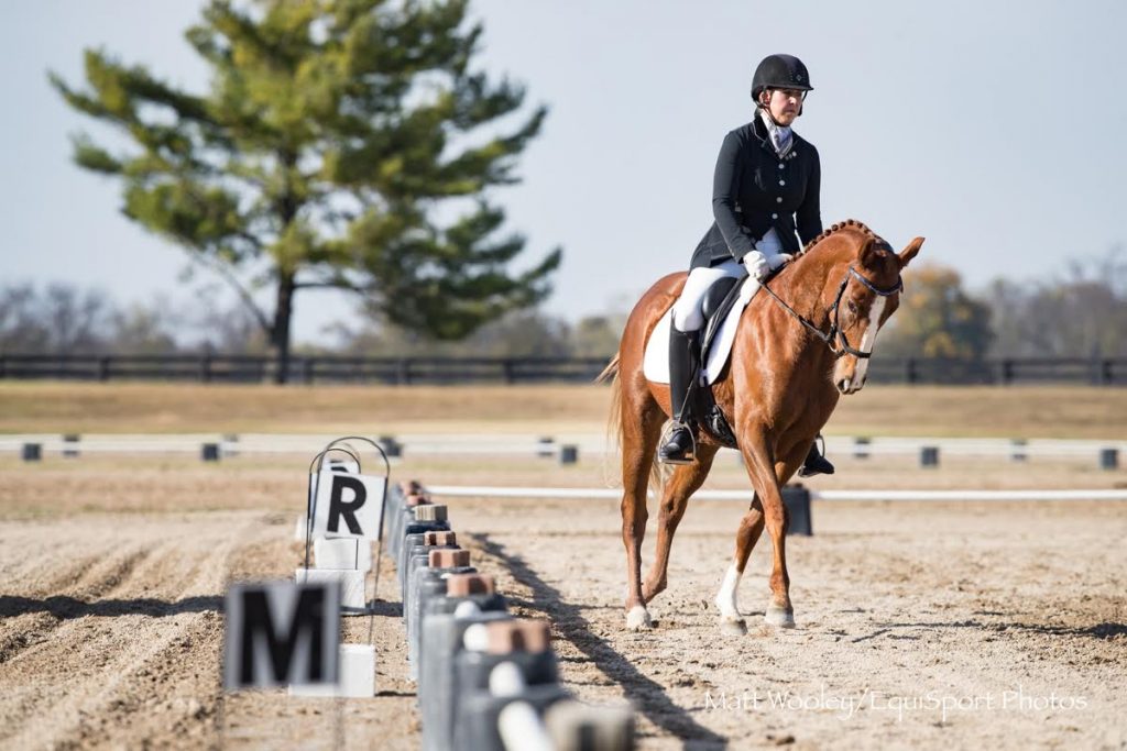 Dancing Commander frames up naturally for dressage as he works with rider and coach Emily Brollier-Curtis. Photo by Matt Wooley/EquiSport Photos