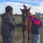 Anne Tucker, 73, grooms a horse with boarder Norman King, a former inmate and graduate of the TRF’s prisoner/racehorse program Second Chances. Photo by Linda Passaretti
