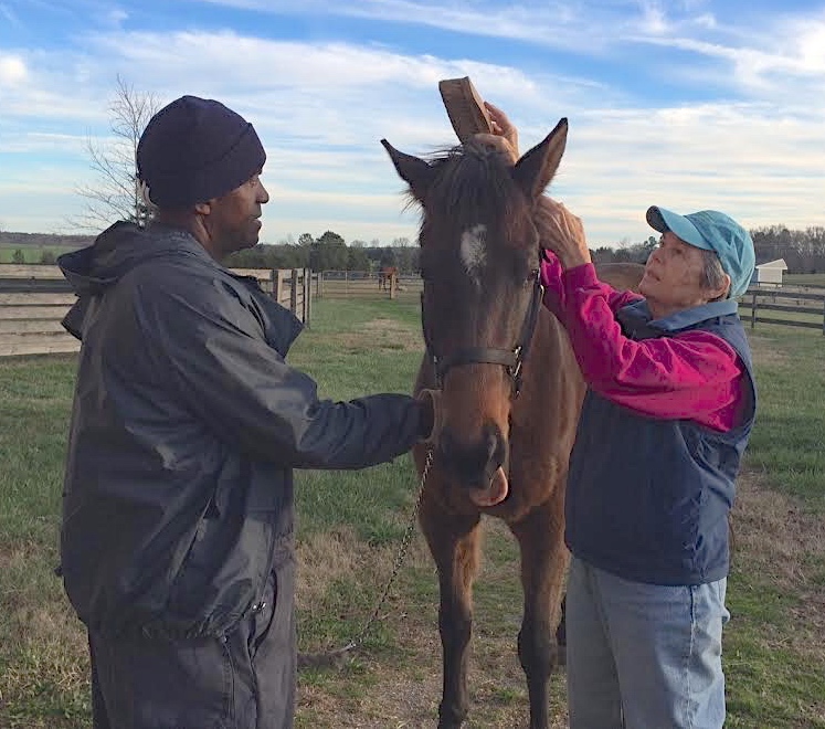 Anne Tucker, 73, grooms a horse with boarder Norman King, a former inmate and graduate of the TRF’s prisoner/racehorse program Second Chances. Photo by Linda Passaretti