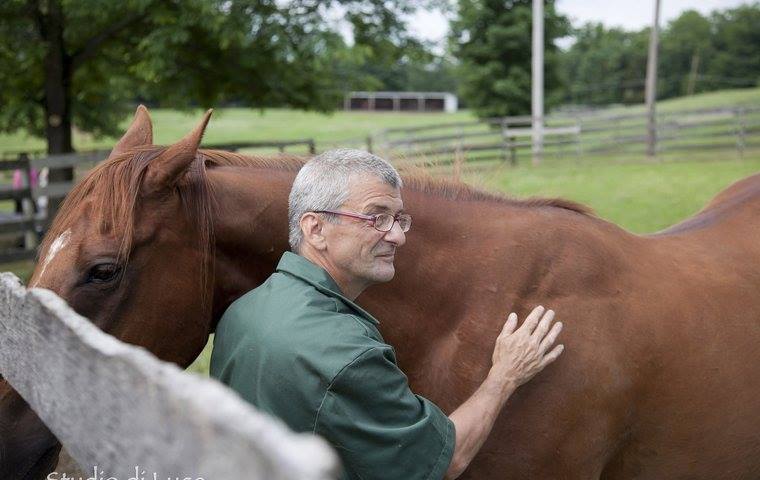 One of the many scenes of horse-human interaction that inspires Pikulski in her work at the TRF.